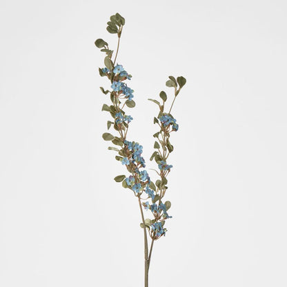 Euphorbia Spray Blue