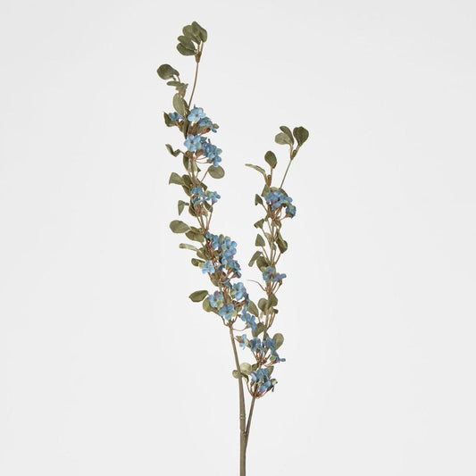 Euphorbia Spray Blue