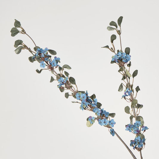 Euphorbia Spray Blue