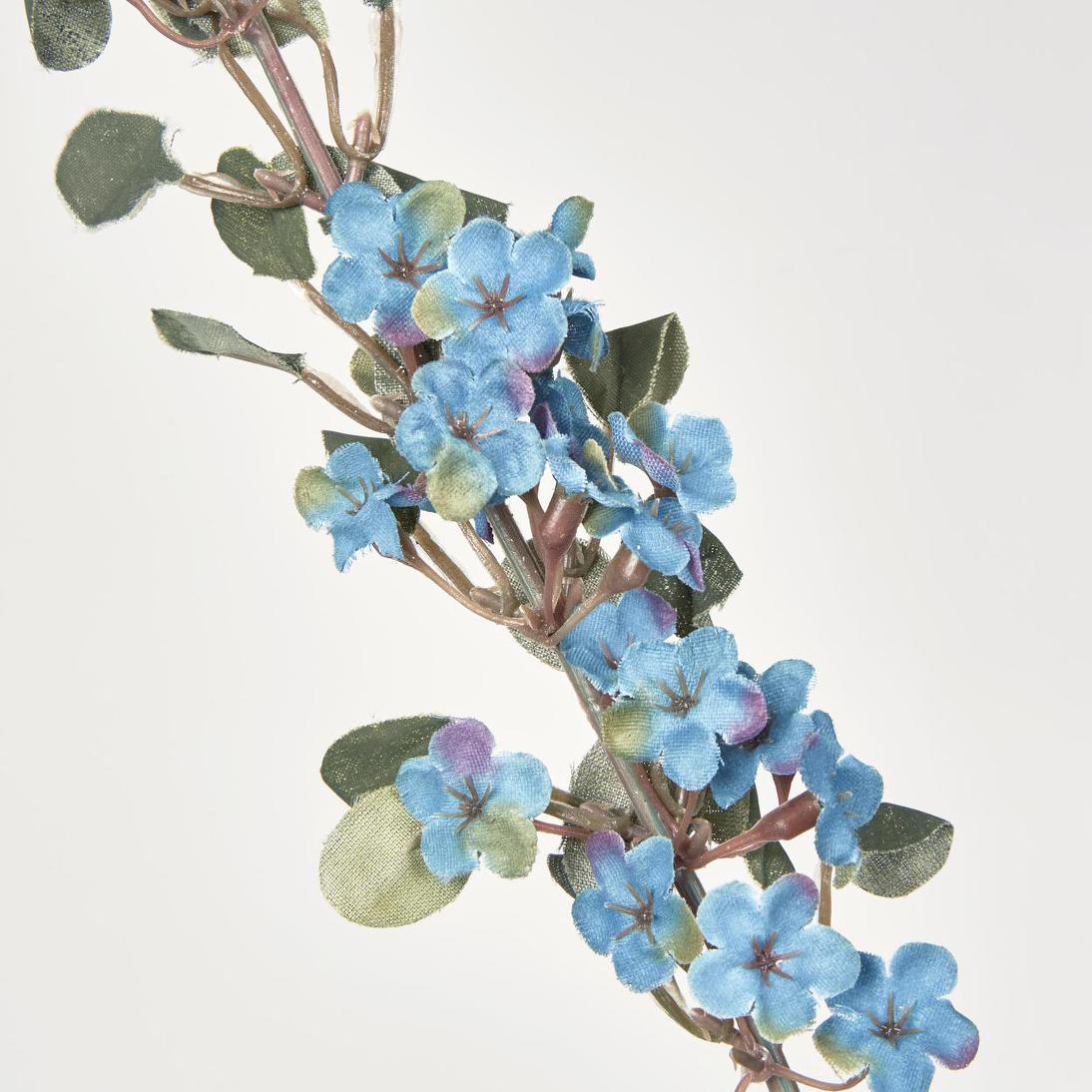 Euphorbia Spray Blue