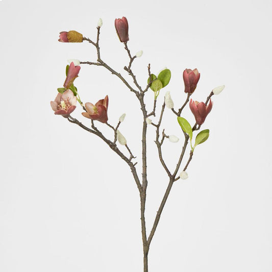 Magnolia Bud Branch Red