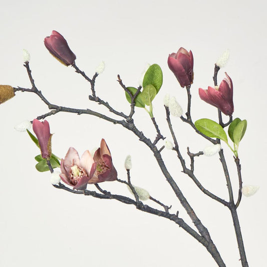Magnolia Bud Branch Red