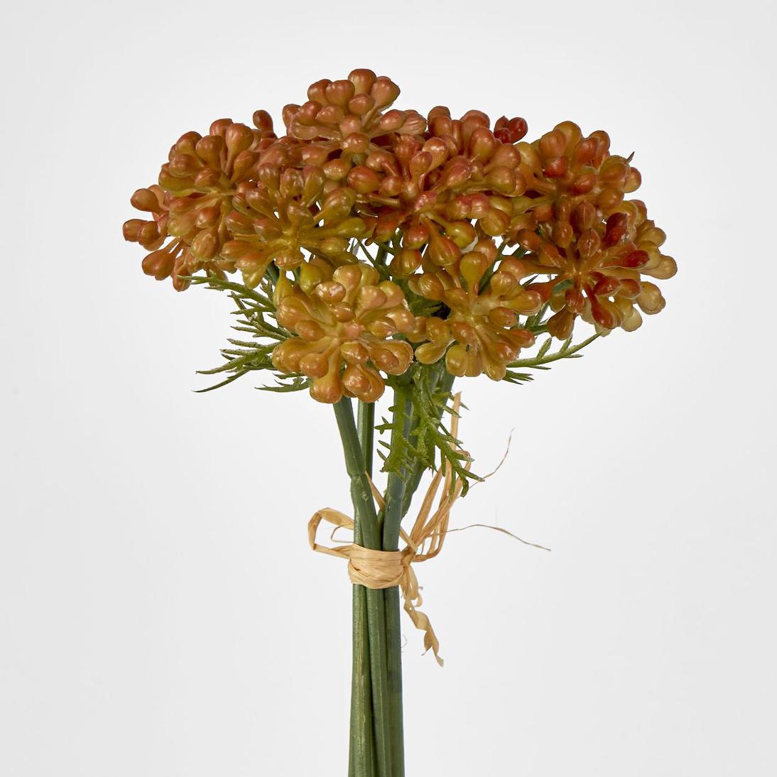 Fruit Berry Bundle 20cm Orange