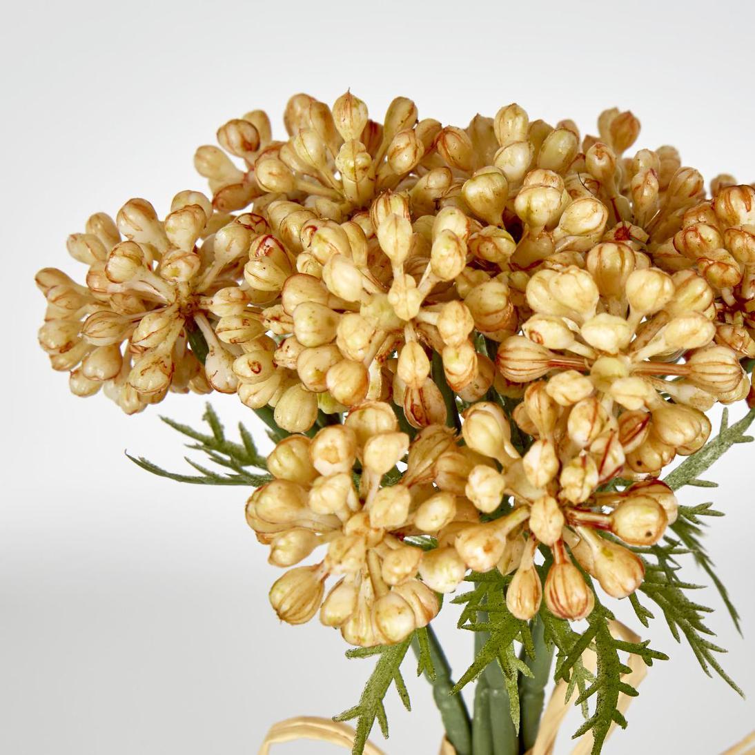 Fruit Berry Bundle 20cm Yellow