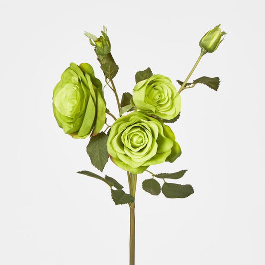 Rose Spray Green