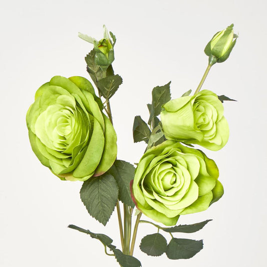 Rose Spray Green