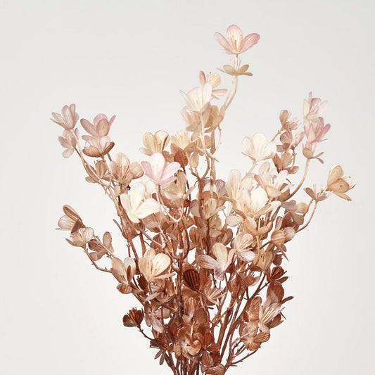 Leaf Bush Brown