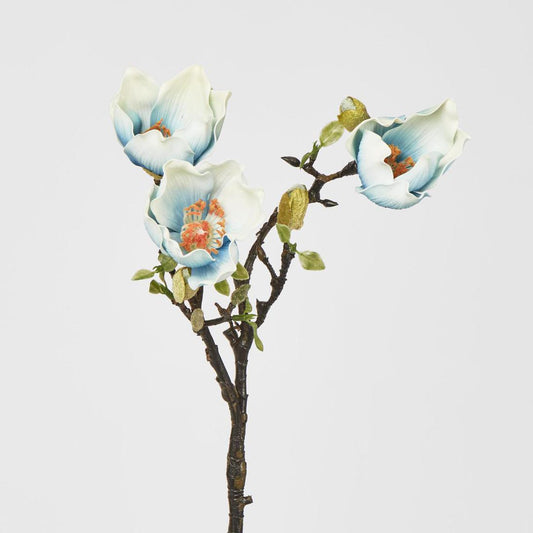 Magnolia Branch Blue