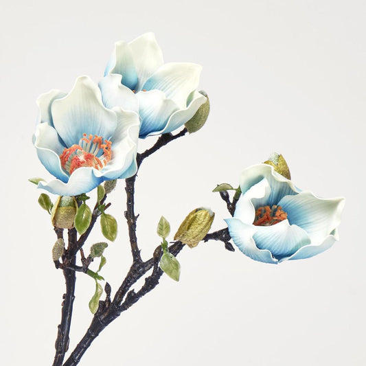 Magnolia Branch Blue