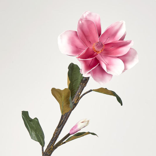 Magnolia Stem Pink