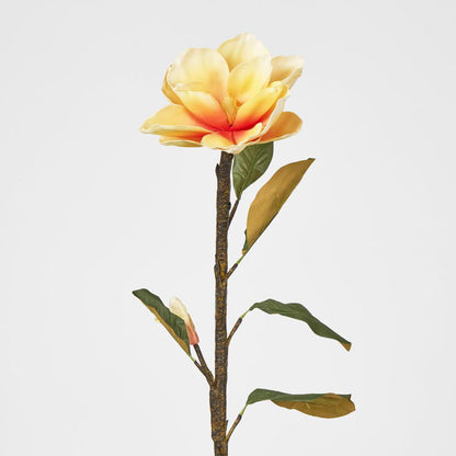 Magnolia Stem Yellow