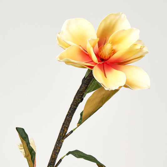 Magnolia Stem Yellow