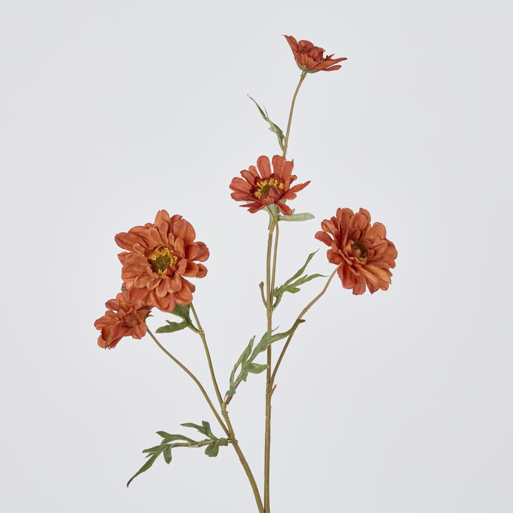 Daisy Spray Brown 75cm