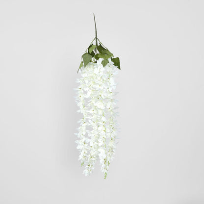 Hanging Vanda Orchid Spray White