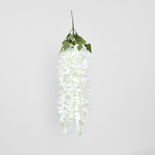 Hanging Vanda Orchid Spray White