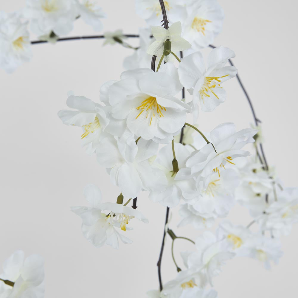 Trailing Cherry Blossom Stem White