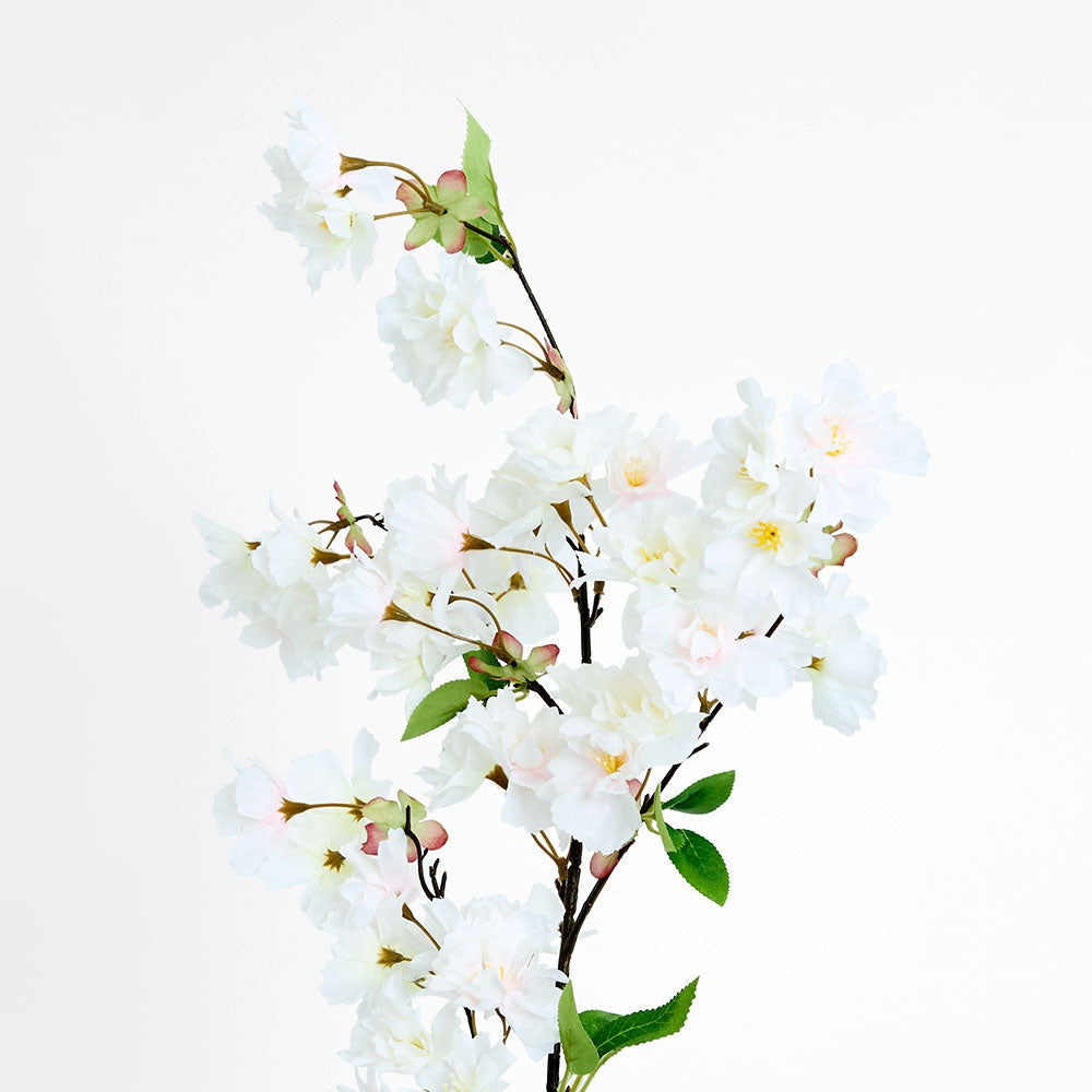 Cherry Blossom Stem White Pink