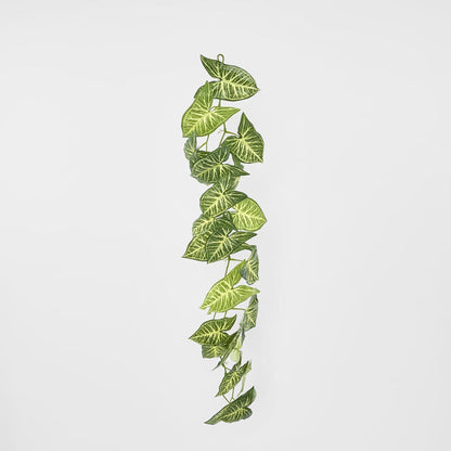 Variegated Taro Leaf Garland