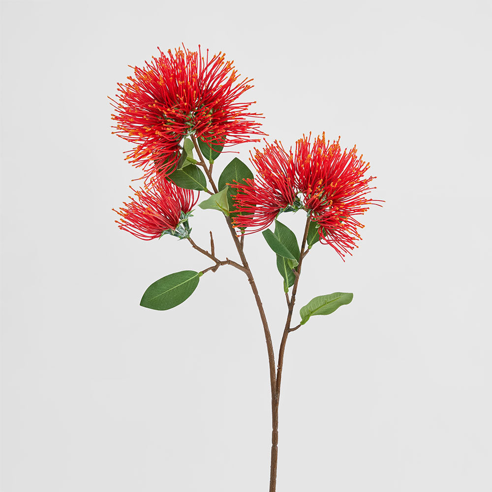 Pohutukawa Protea Stem