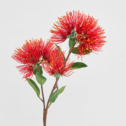 Pohutukawa Protea Stem