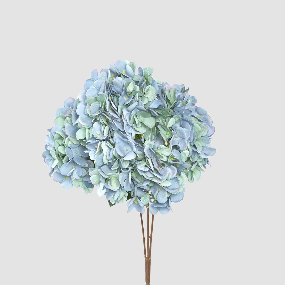 Hydrangea Bush Dark Blue