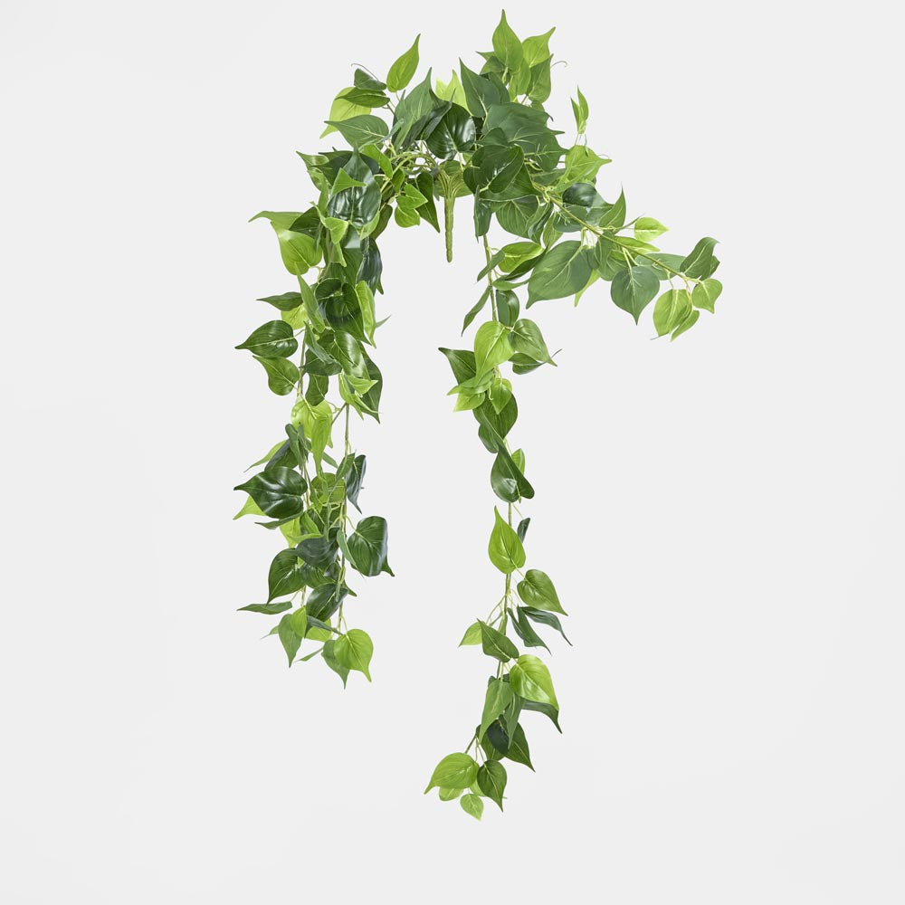 Hanging Pothos Spray