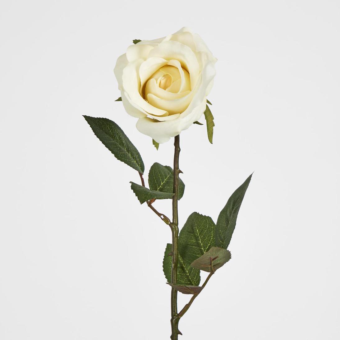 Long Stem Rose Pale Yellow