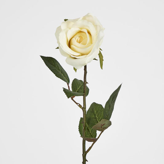 Long Stem Rose Pale Yellow