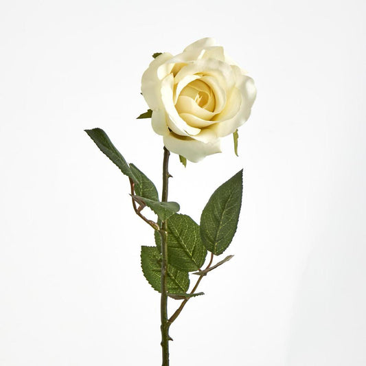 Long Stem Rose Pale Yellow
