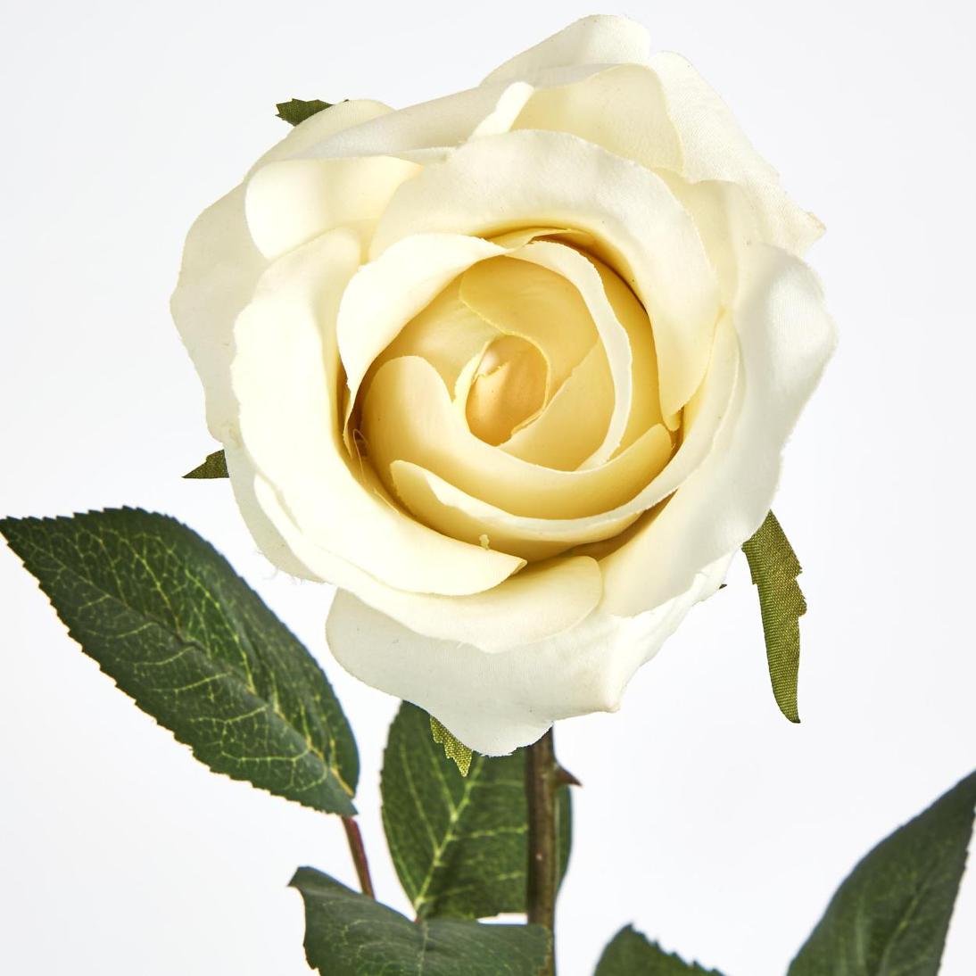 Long Stem Rose Pale Yellow