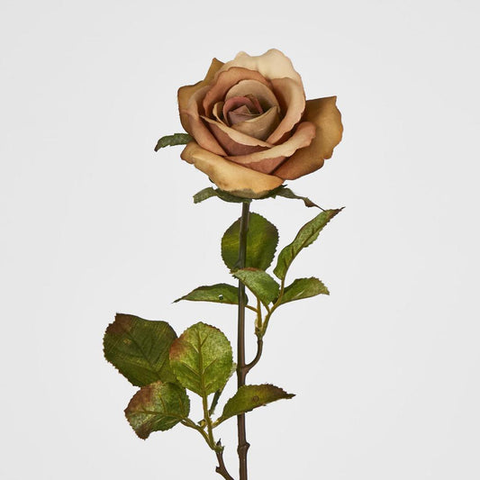 Long Stem Rose Cappuccino