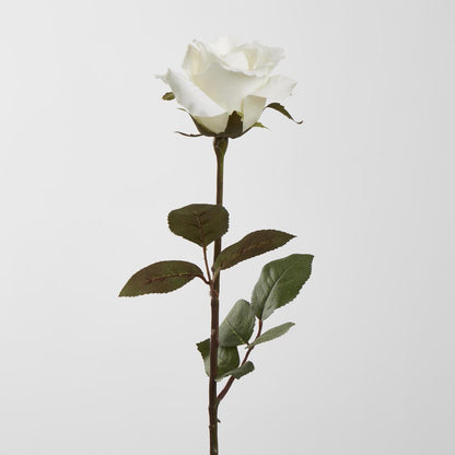 Long Stem Rose White