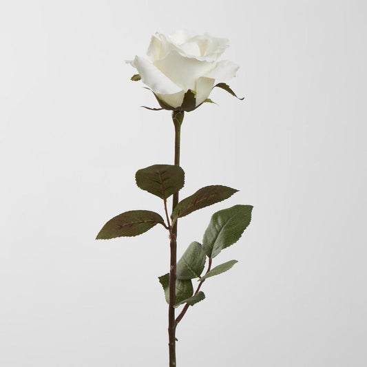Long Stem Rose White