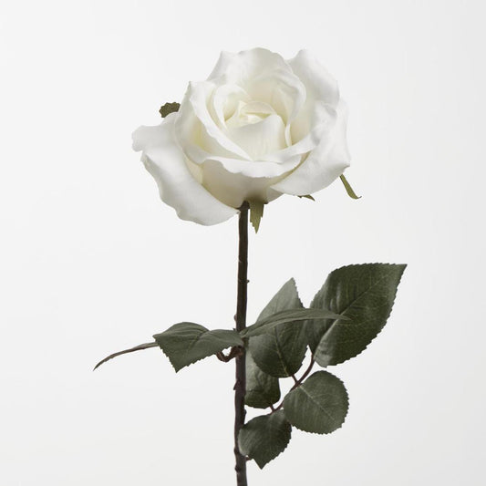 Long Stem Rose White