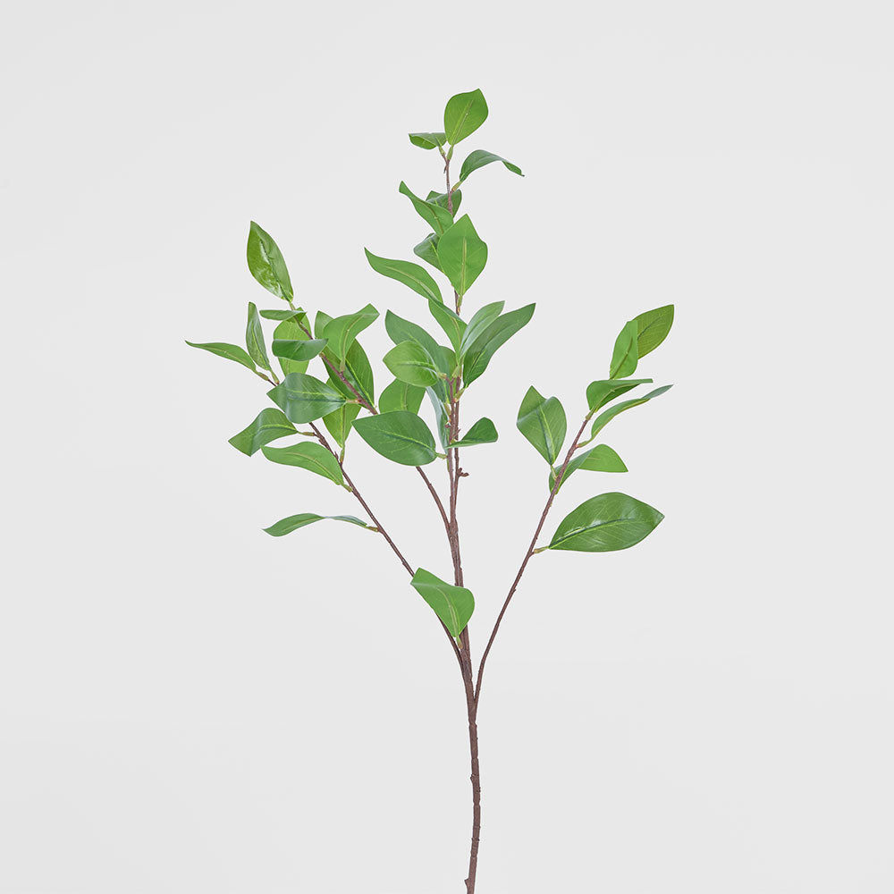 Camelia Leaf Spray