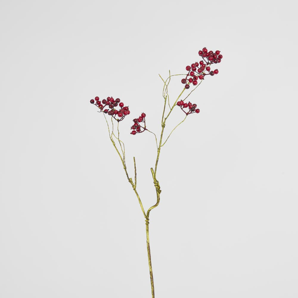Berry Spray Red