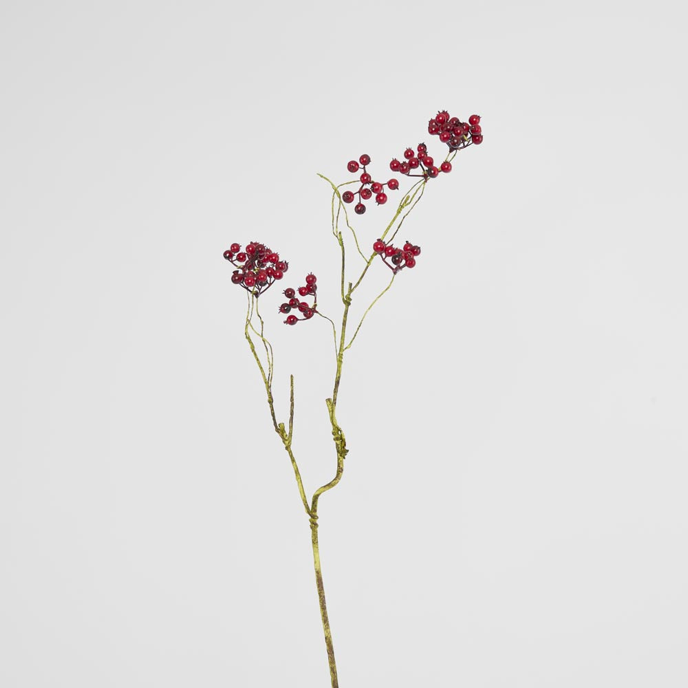 Berry Spray Red