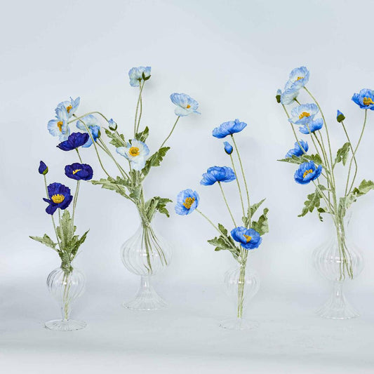 Poppy Spray Light Blue