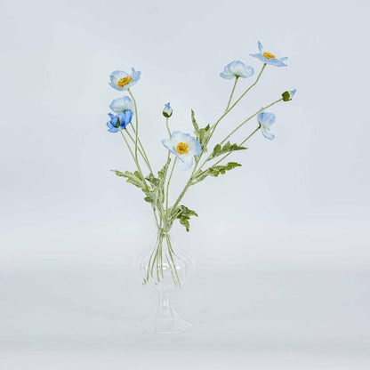 Poppy Spray Light Blue