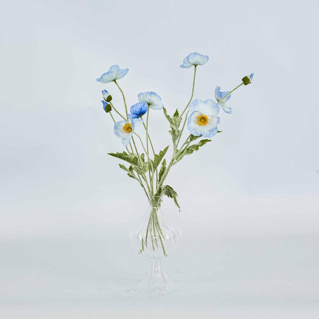 Poppy Spray Light Blue