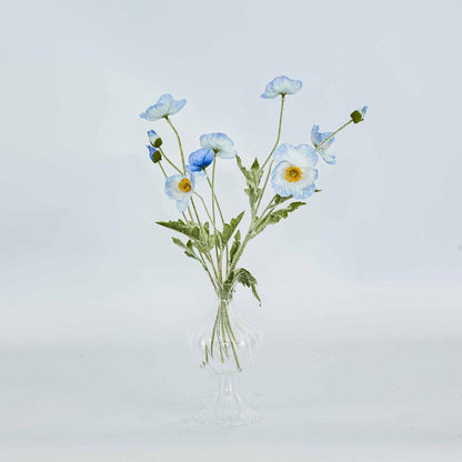 Poppy Spray Light Blue