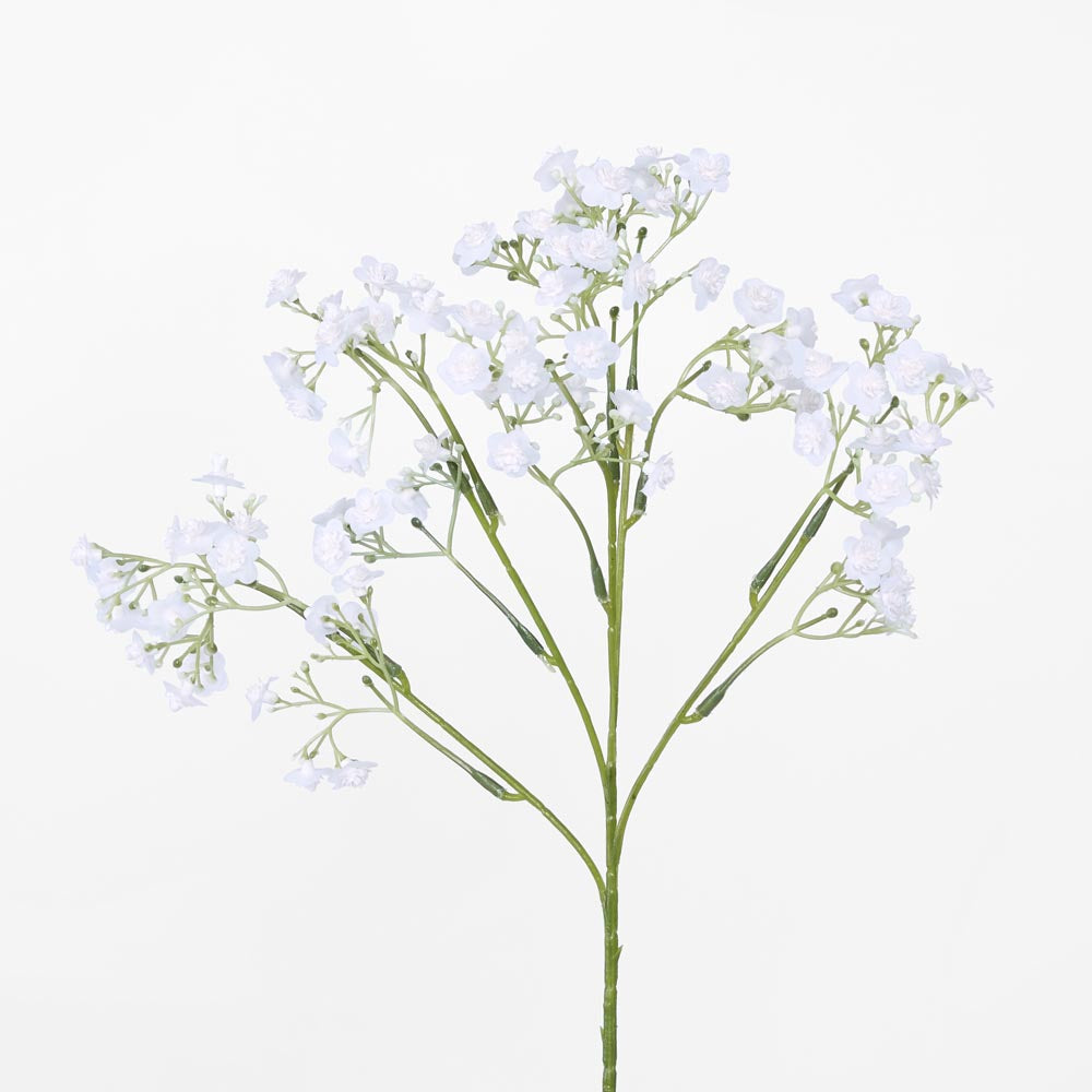 Baby's Breath Stem White