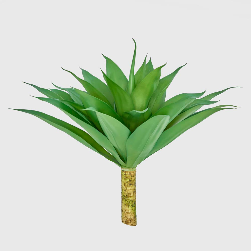 Giant Agave Stem trunk
