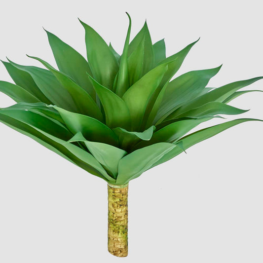 Giant Agave Stem trunk