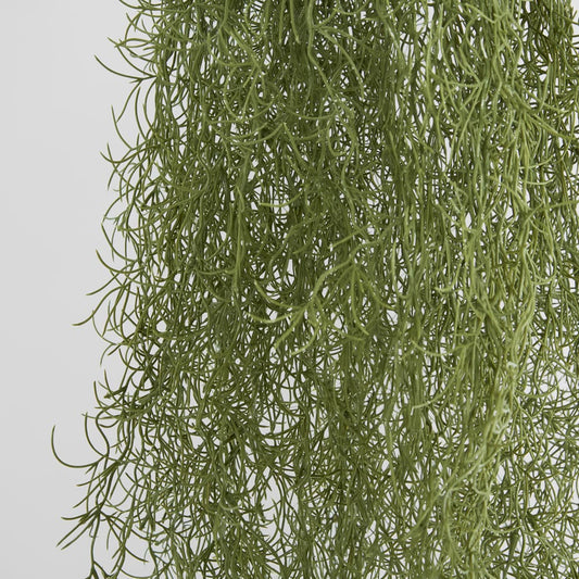 Hanging Spanish Moss Dark Green