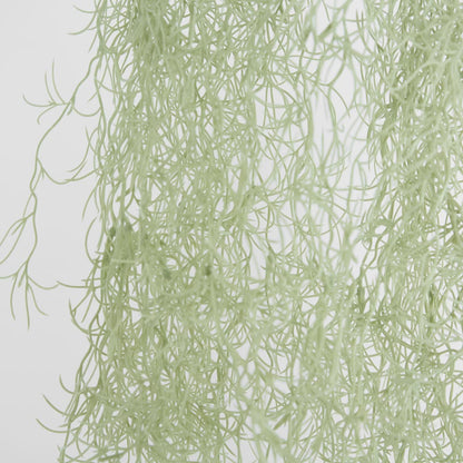 Hanging Spanish Moss Grey Green
