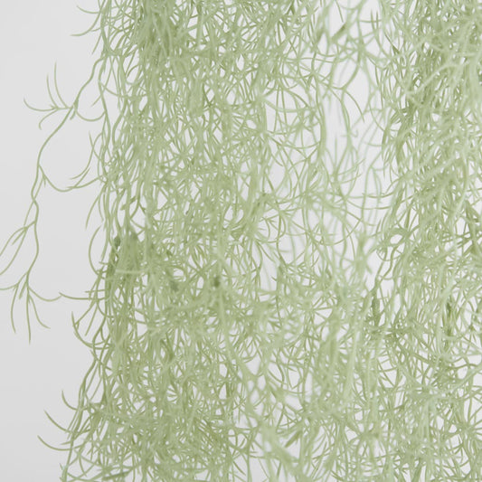 Hanging Spanish Moss Grey Green