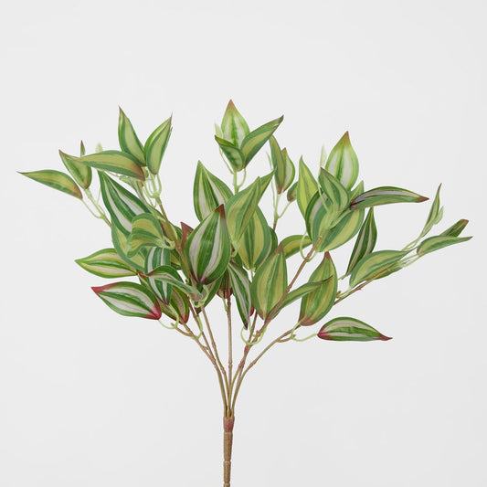 Wandering Jew leaf Spray Green