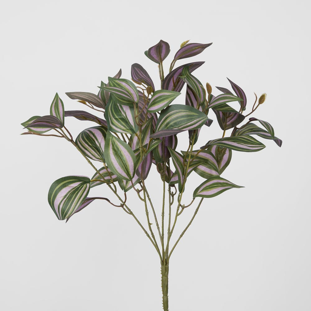 Wandering Jew leaf Spray Purple