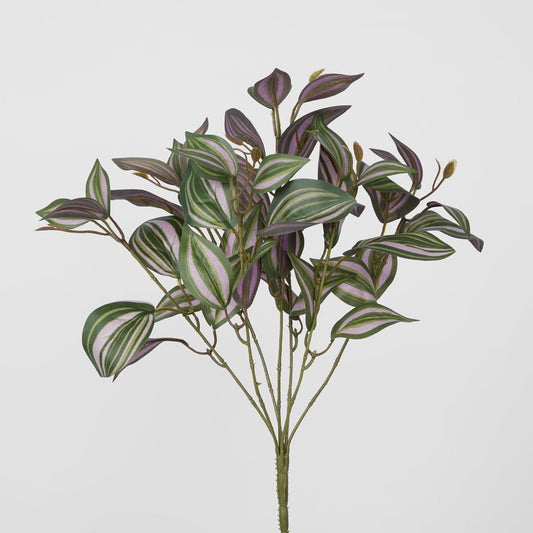 Wandering Jew leaf Spray Purple